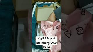 فتح علبة كارت صوت steinberg ru12