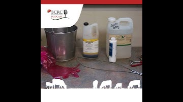 Episode 63: How to Intervene with a Difficult Calving