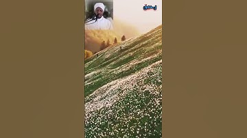 مطلع سورة القمر | رواية خلف | الشيخ عبد الرشيد صوفي