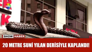 Modifiye Araç Çılgınlığı