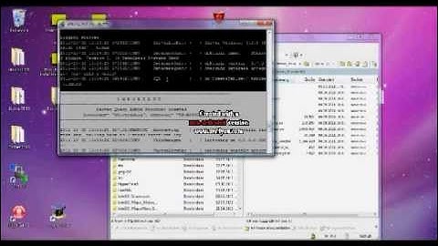 [How-To-Tutorial] Install Teamspeak 3 auf V/Root Server [Installation & Anleitung]