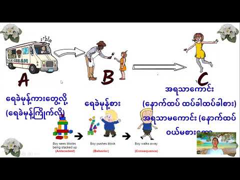 Individual Behaviour Support
