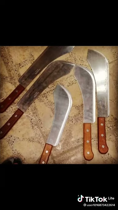 مطاوي