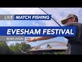 Live Match Fishing: Evesham Festival, Evesham Championship, River Avon