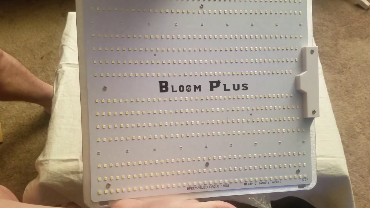 Bloom Plus 1500 Unboxing - YouTube
