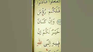 سورة البقرة الأية 279 إلى 281 القارئ مشاري راشد العفاسي