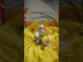 mero chhoto so laddu Gopal ❤🙏#laddu Gopal viral video#laddu video#laddu Gopal viral short new#jai#