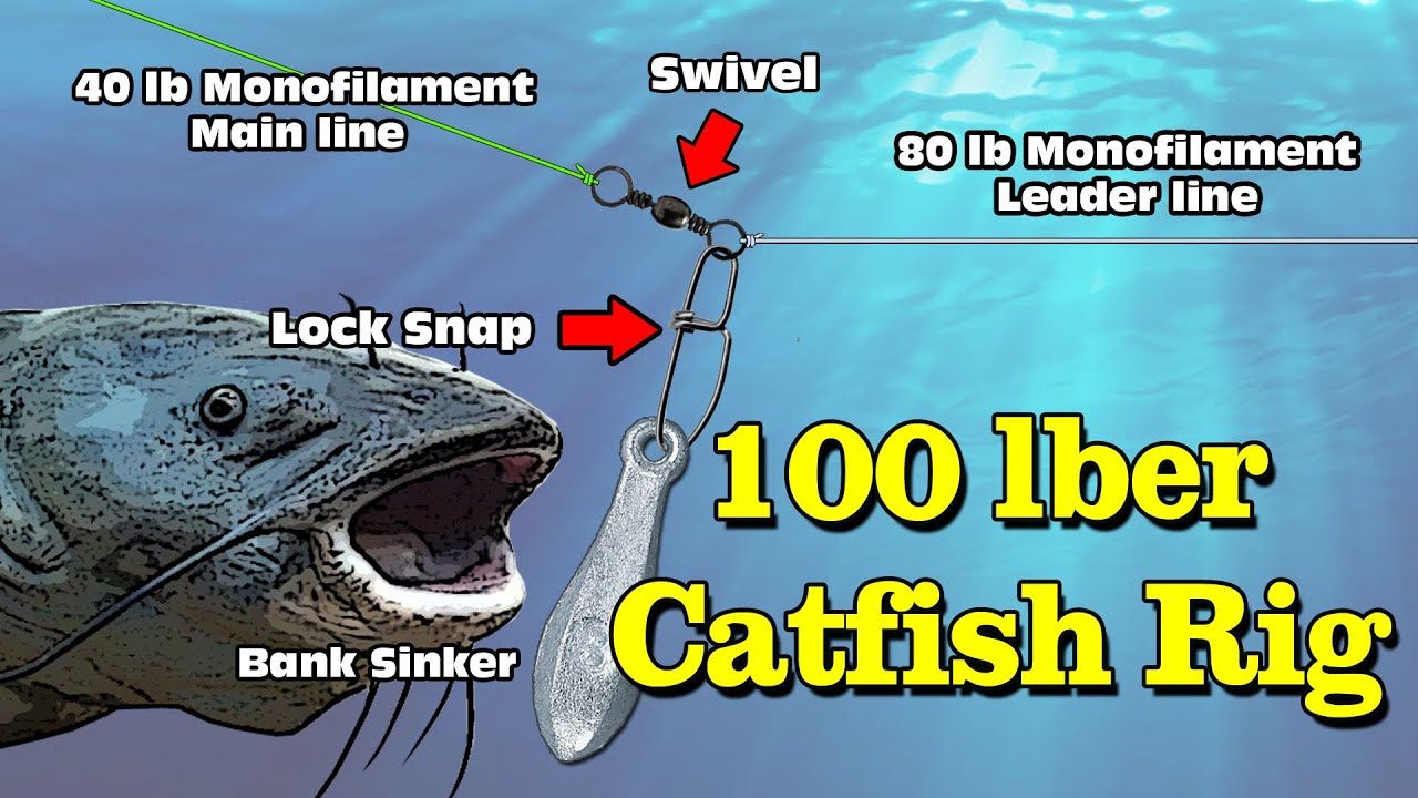 100 Pound Catfish Rig A Proven Rig That Catches Big Catfish YouTube