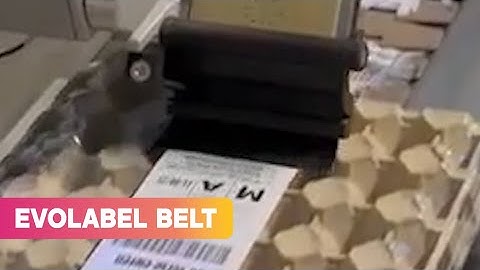 EVOLABEL BELT - CODIPACK NV