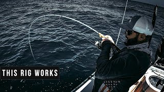 Use This Rig & Catch BIG Fish - Offshore Fishing! by Joshua Taylor 1,094 views 5 days ago 12 minutes, 12 seconds