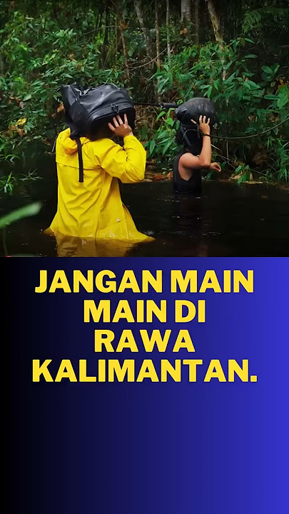 Jangan sendirian di hutan Kalimantan.