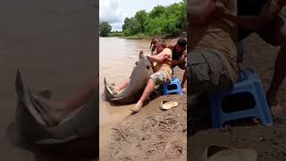 Part 2:"What did these fishermen just pull up?! 😱 Giant
