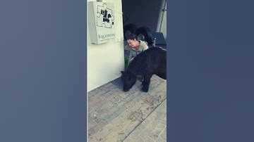 Equithink introducing the One Button Game