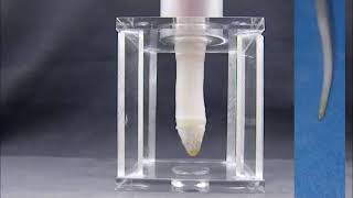 Soft fluidic actuated root like probe screenshot 1
