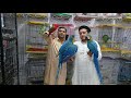 Exotic Birds Market Sadar Talking and Tame Birds Sohail Ahmed TV in Urdu/Hindi.