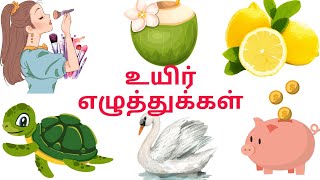 Uyir Ezhuthilukal\/ Learn Tamil Alaphabet For Kids