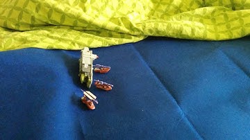 Tidal Wave hit by tidal wave