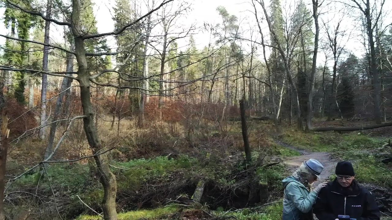 Dolina Skrzypu Olbrzymiego