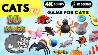 CATS TV  Realistic 3D BUGS for Cats and Dogs  (Game For Cats to Watch) NO ADS 4K HDR 60FPS