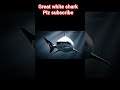 great white shark #subscribe plz