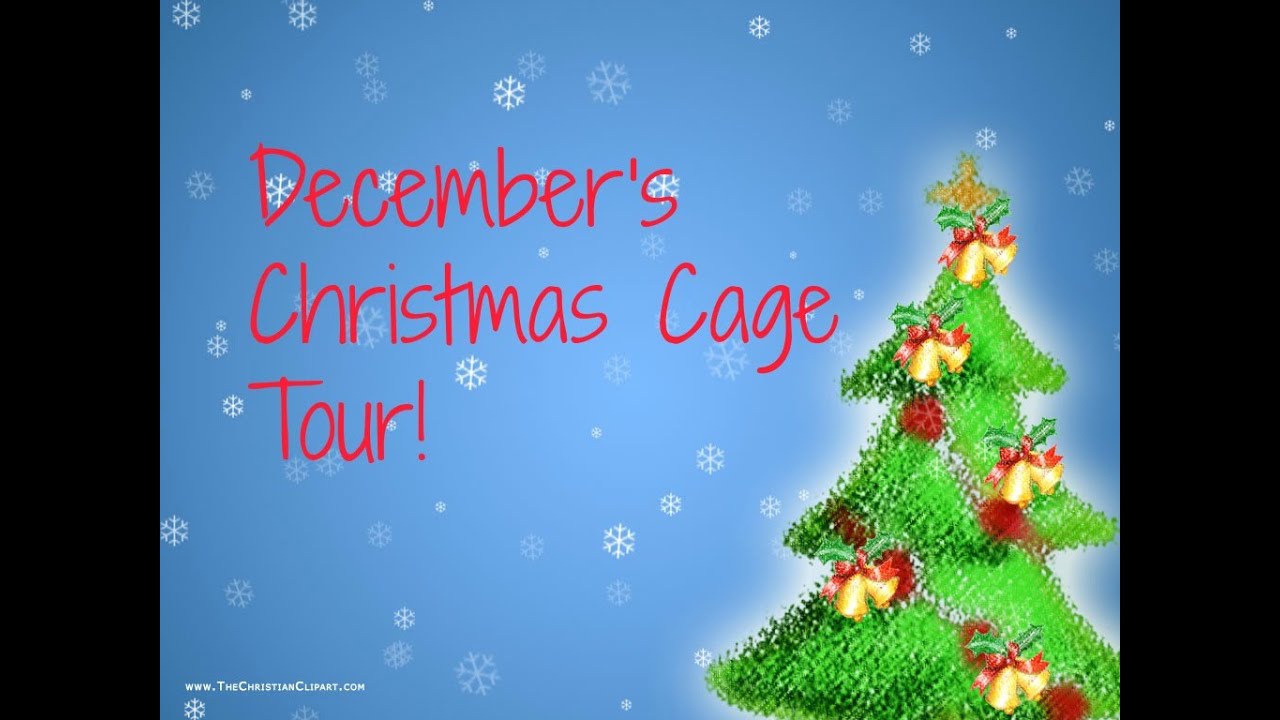December's Christmas Themed Cage Tour!