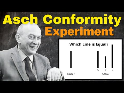 Asch Conformity Experiment Explained | Line Conformity Study | Solomon Asch