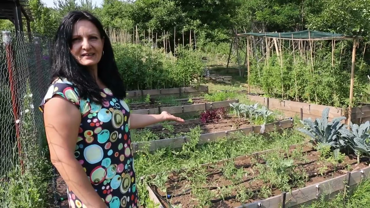 Что мы выращиваем в нашем приподнятом саду. Прогулка по саду в середине июля.