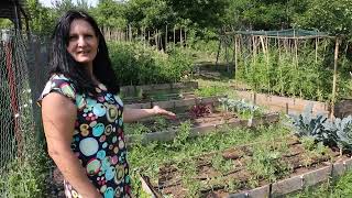 What we grow in our raised bed garden. A walk through the garden in the middle of July.