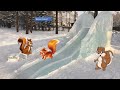 урок 12 февраля 1 год обучения