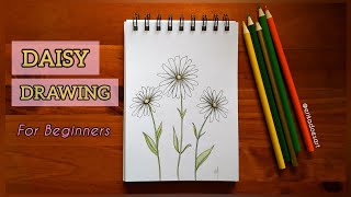 DAISY DRAWING | Sketching & Drawing For Beginners | Easy & Quick | Draw With Me