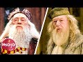 Top 10 Harry Potter Actors Who Were Replaced in the Sequels