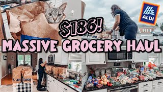 MASSIVE Grocery Haul + Restock | Aldi Shopping on a Budget | Single Mom of 3! by Boss Mom Hustle 3,113 views 4 days ago 23 minutes