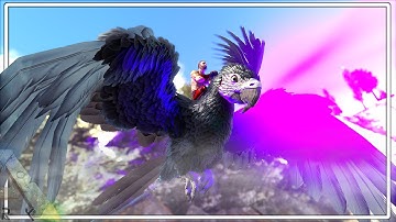 WE KUNNEN EINDELIJK OP EEN DONKERE PAPEGAAI RIJDEN | ARK Primal Fear [EP14]