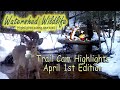 Trail Cam Highlights, April 1st Edition