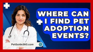 Where Can I Find Pet Adoption Events? - PetGuide360.com