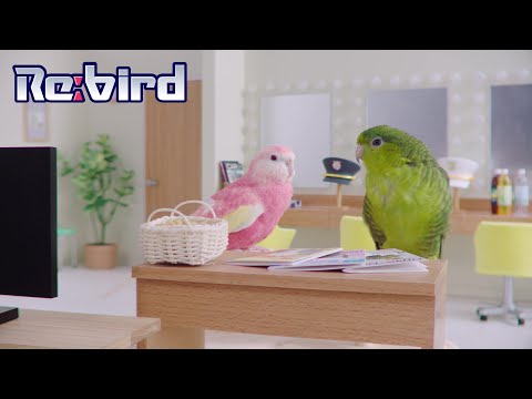 2020年 リバード篇
