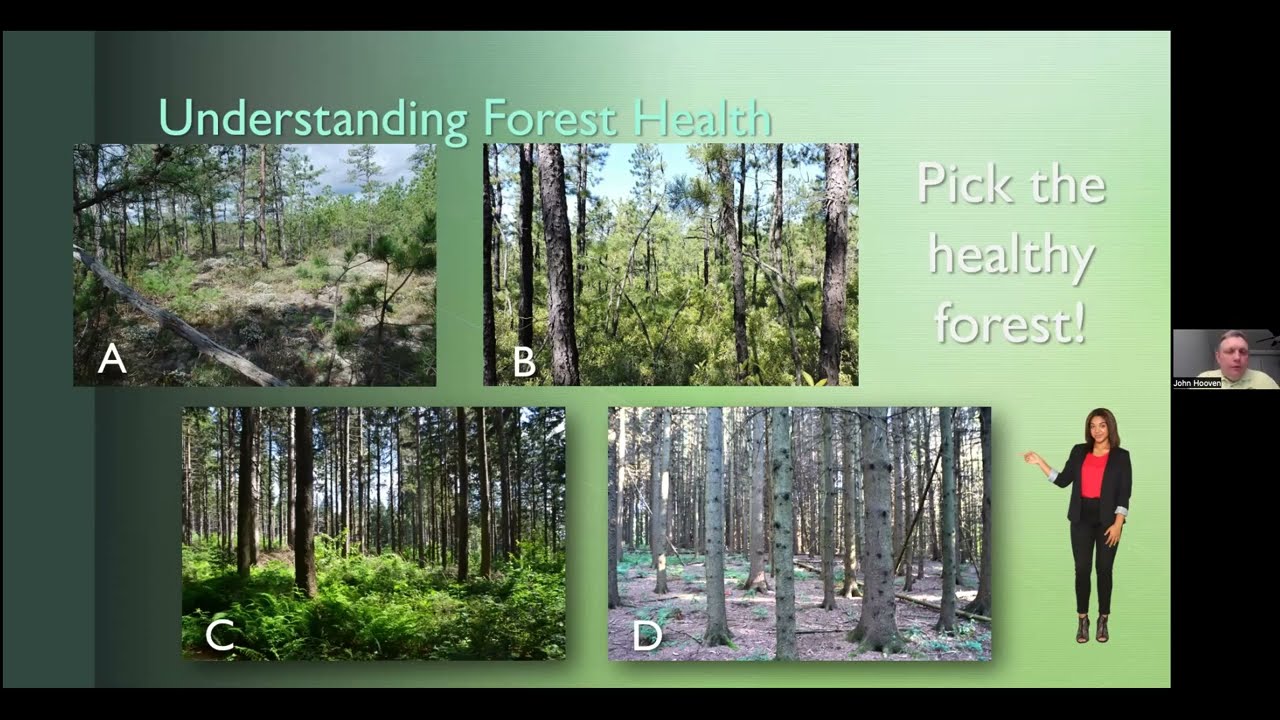 January, 2023 NJFA's Backyard Forestry in 90 Minutes Program - "Understanding Forest Health"