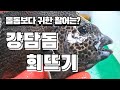 [돌돔 vs 강담돔?] 돌돔보다 구하기 힘든 강담돔 손질 및 수율체크. Rock porgy, Leopard fish. [수아아빠TV]