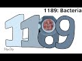 Esperanto Number Traffic 1105-1195 DJ1 (Mr.Incredible Become Old Life Forms Evolution-BC)