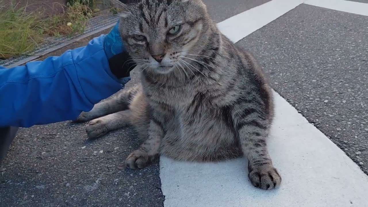 When I finished my rounds and returned, Maru-chan came out from