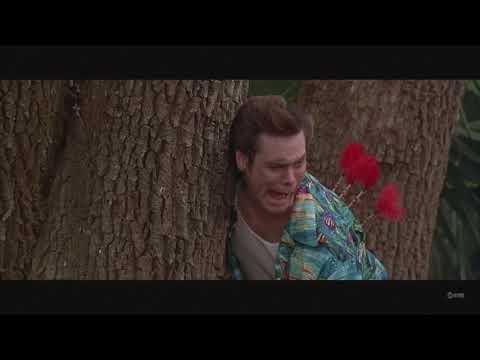 Ace Ventura - When Nature Calls - Darts In The Jungle