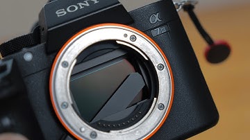A7III Broken Mechanical Shutter | 5 Years Later