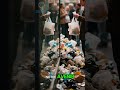 Gestion des déchets — un enjeu vital pour l’entreprise