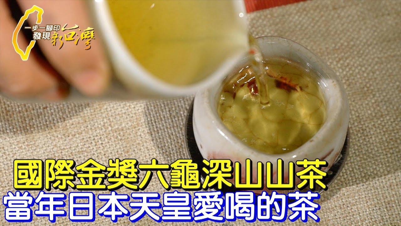 【六龜】長在深山裡的茶. 原本乏人問津的山茶.變成紅到國際的茶金∣一步一腳印【六龜深山裡的山茶金】20220320