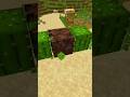Minecraft Logic Cactus be like 😂 #shorts #viral #minecraft #youtubeshorts