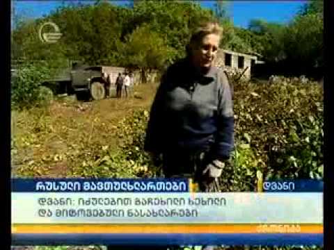 რუსმა სამხედროებმა სოფელ დვანთან საქართველო დაასრულეს