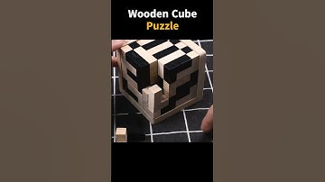 The Most Satisfying Wooden Puzzle Solve Ever!  #iqtest #puzzles