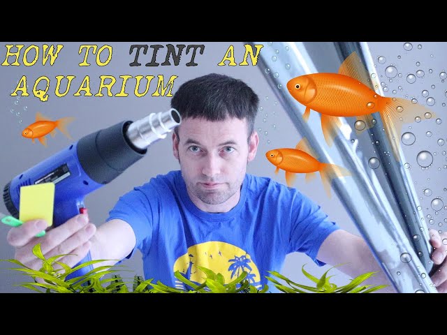 DIY Black Aquarium Background - How to Vinyl your Glass Tank! 