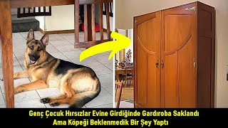 Genç Çocuk Hırsızlar Evine Girdiğinde Gardıroba Saklandı Ama Köpeği Beklenmedik Bir Şey Yaptı