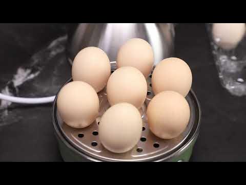 Buy Inder Bear Double Layer Electric Egg Cooker Boiler - 14 Egg